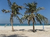 wp-content/uploads/2006/10/13/Jumeirah Beach.JPG